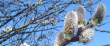 Doorpakken naar de lente